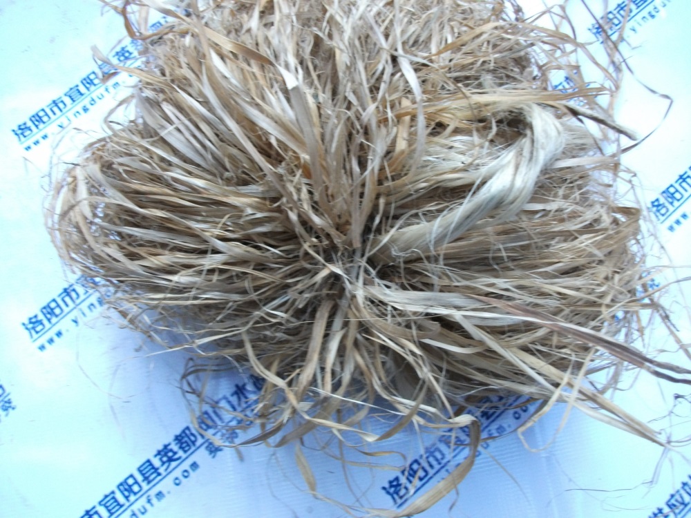 麻丝